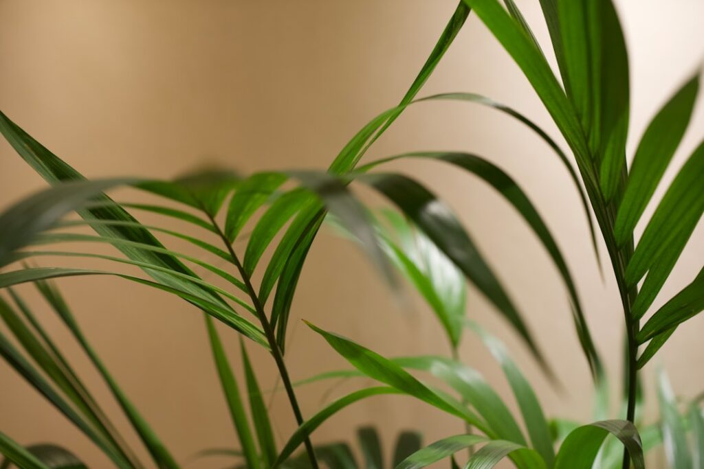 De beste tijd om vaste planten te planten voor een gezonde tuin