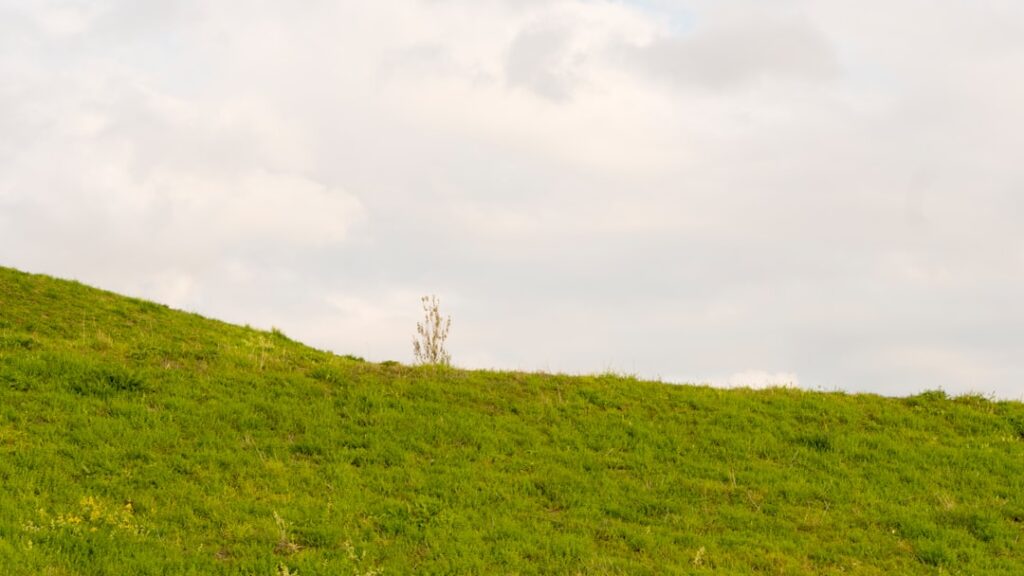 Gras sproeien in de zon: wat gebeurt er echt?