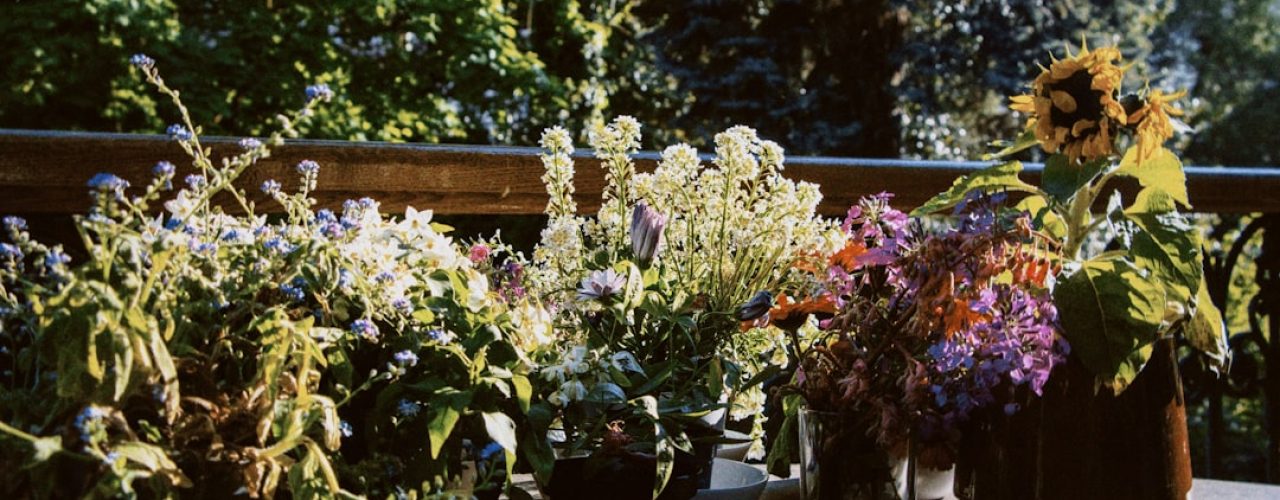 Fris en groen: de beste planten voor bloembakken buiten