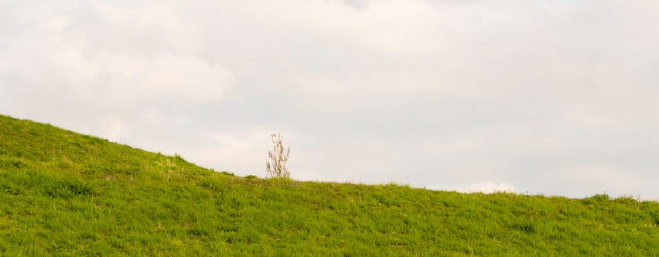 Gras sproeien in de zon: wat gebeurt er echt?