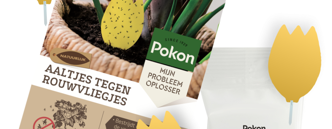 Rouwvliegjes bestrijden bij kamerplanten
