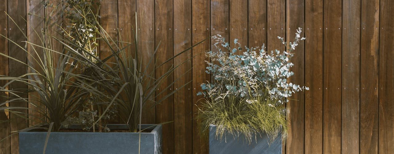 De mooiste plantenbakken voor in je tuin: van materiaal tot stijl