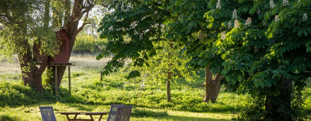 Zo brengt de juiste hovenier de mooiste planten naar je tuin